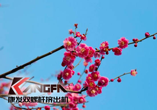 春光明媚,綠意盎然！康發雙螺桿擠出機組集中發貨 