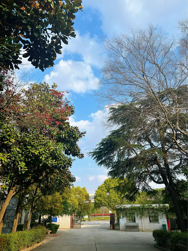 極致的康發雙螺桿擠出機工匠精神，支撐著在追逐夢想的旅程中穩步邁進。