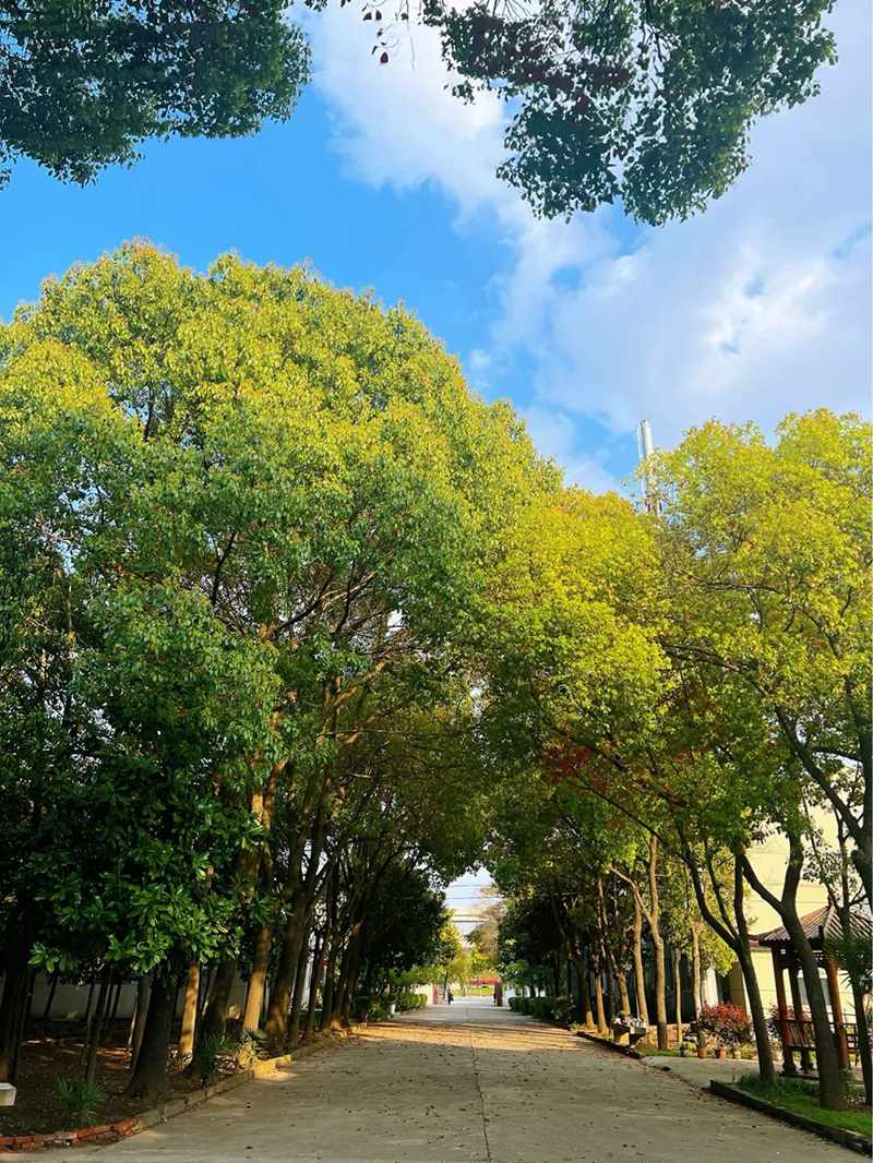 極致的康發雙螺桿擠出機工匠精神，支撐著在追逐夢想的旅程中穩步邁進。