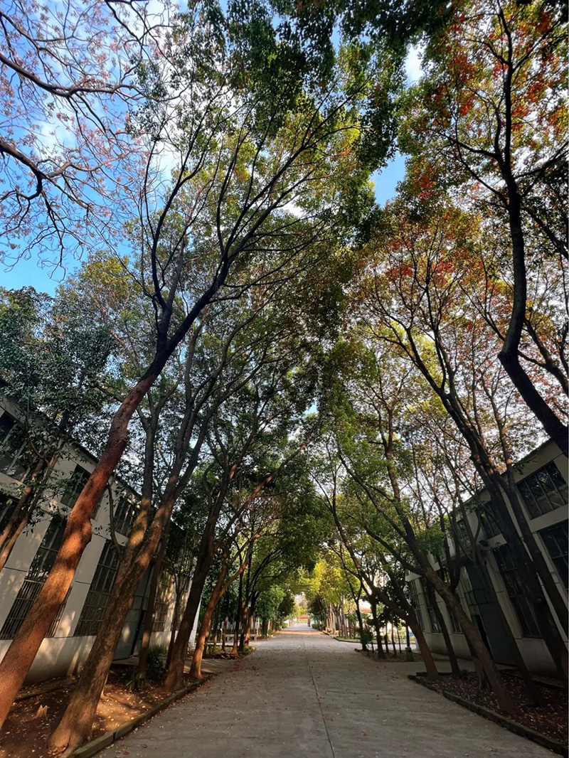 極致的康發雙螺桿擠出機工匠精神，支撐著在追逐夢想的旅程中穩步邁進。