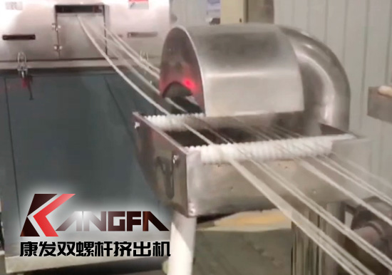 65高扭+PLC，尼龍加纖雙螺桿擠出機試機